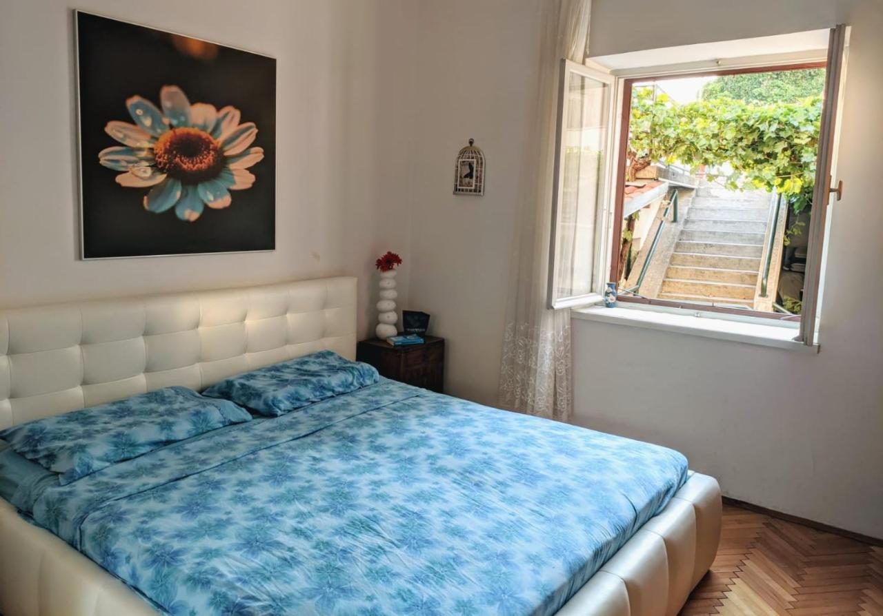 Glorianita Sweethome,Centro, Free Parking,Self Check- In Sibenik Ngoại thất bức ảnh